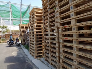 Pallet gỗ thông - Pallet Mai Huỳnh Thiên Phát - Công Ty TNHH Mai Huỳnh Thiên Phát Việt Nam